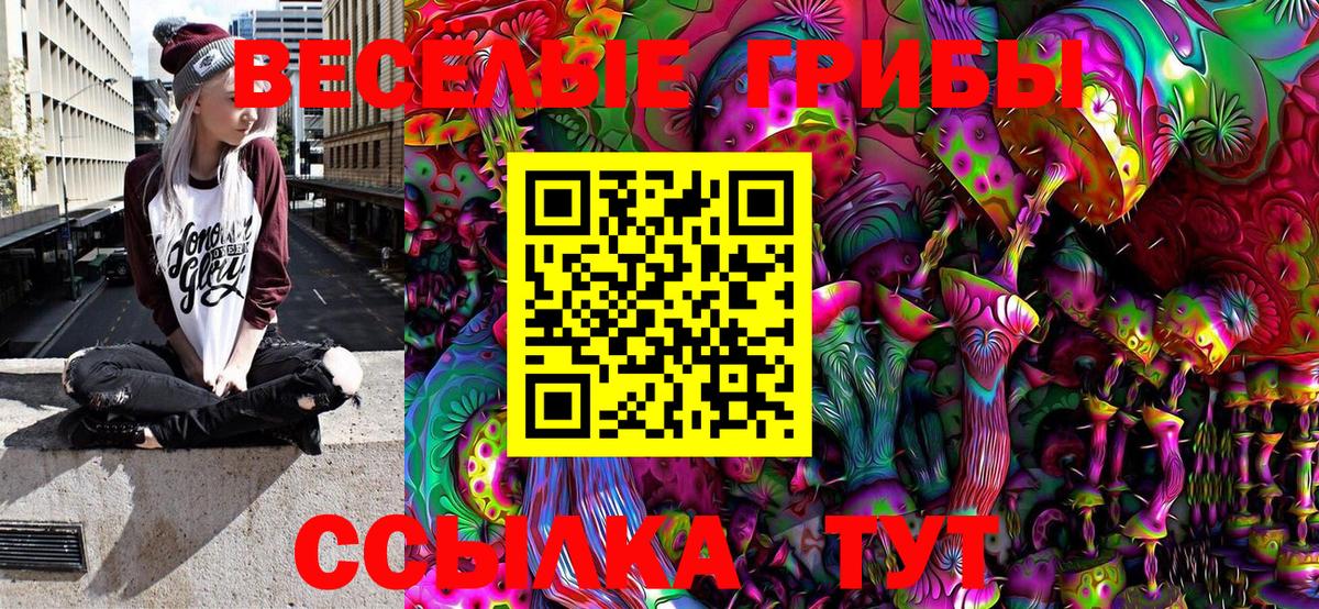 Галлюциногенные грибы MAGIC MUSHROOMS  Вход с VPN  Кумертау 