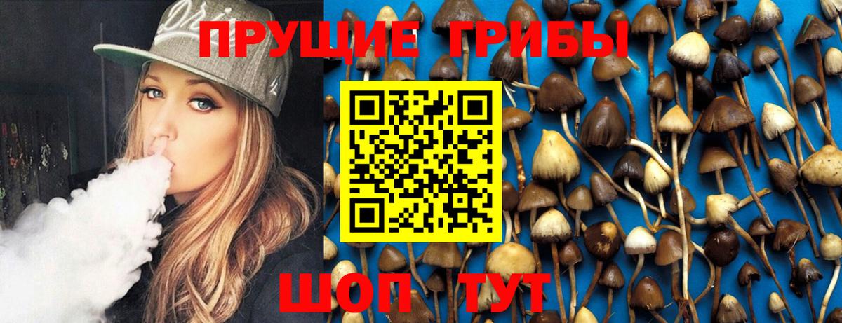 Псилоцибиновые грибы Psilocybine cubensis Кумертау